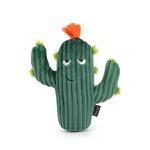 プレイ　ブルーミングバディーズ　カクタス