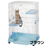 IINA　INM-157　キャットルーム　ブラウン