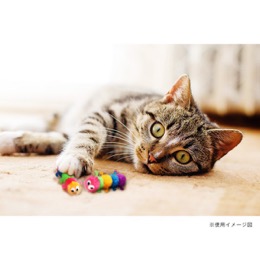 ループライト　キャタピラー