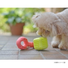 ループハウンズ　キューブ　イエロー