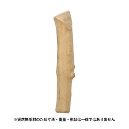 ループカフェウッド　チャンプ　S