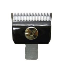Bloom　0.5mm
