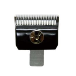 Bloom　2mm