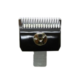 Bloom　3mm