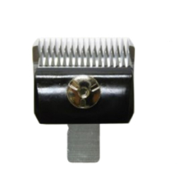 Bloom　5mm
