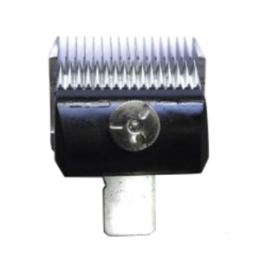 Bloom　9mm