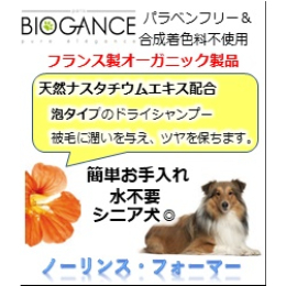 BG)ノー・リンス　フォーマー犬用　200ml