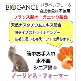 BG)ノー・リンス　フォーマー猫用　200ml