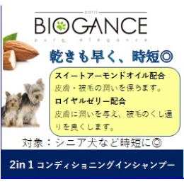 BG)2in1コンディショニングシャンプー　250ml