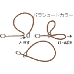 パラシュートカラー　55　茶