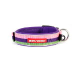 EZYDOG　ネオカラー　XL　バブルガム
