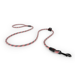 EZYDOG　サミットリードライト　6mm　レッド