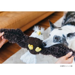 プレイ　フェッチングフロック　イーグル