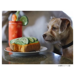 プレイ　バーキングブランチ　アボガドトースト