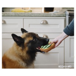 プレイ　バーキングブランチ　アボガドトースト