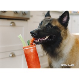 プレイ　バーキングブランチ　ブラッディー・マリー