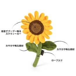 プレイ　ブルーミングバディーズ　サンフラワー