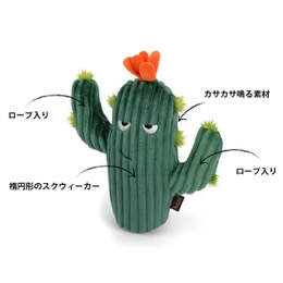 プレイ　ブルーミングバディーズ　カクタス