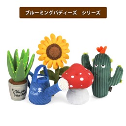 プレイ　ブルーミングバディーズ　カクタス