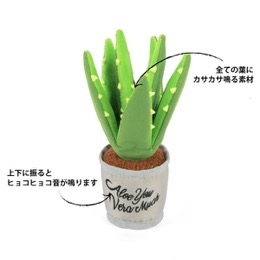 プレイ　ブルーミングバディーズ　アロエプラント