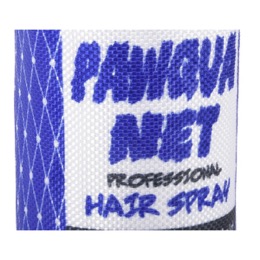 プレイ　80'sクラシック　ヘアスプレー