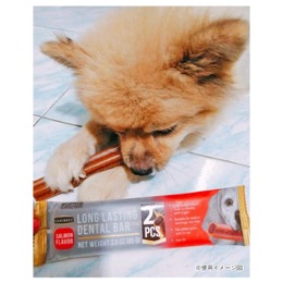グディーズ　デンタルバー　S　チキン