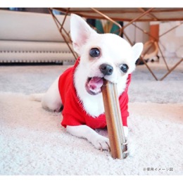 グディーズ　デンタルバー　mini　チキン